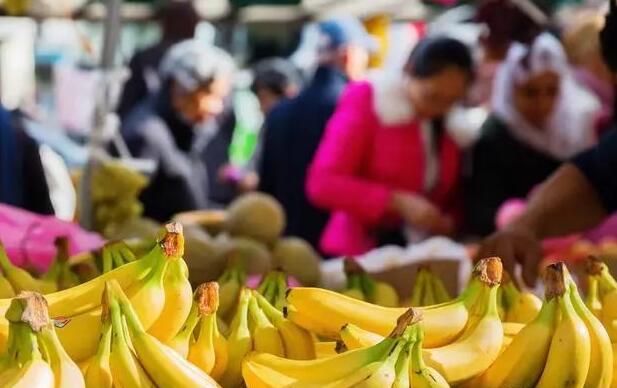 地?cái)偨?jīng)濟(jì) 地?cái)偨?jīng)濟(jì)